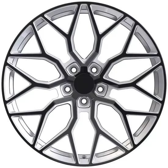 Black Color OEM/ODM/Customization Casting Forged Flow Forming Aluminum Alloy Wheel